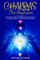 Chakras for Beginners