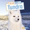 Day and Night on the Tundra