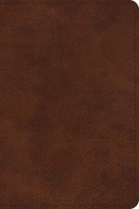 ESV Large Print Bible (Trutone, Deep Brown)