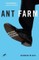 Ant Farm