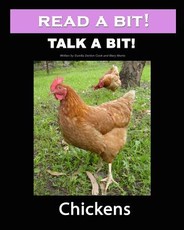 Read a Bit! Talk a Bit!