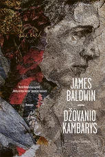 Džovanio kambarys (knyga su defektais)