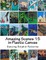 Amazing Scenes 15