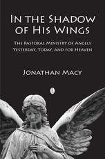In the Shadow of His Wings