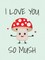 I Love You So Mush