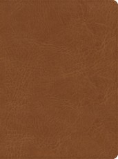 CSB He Reads Truth Bible, Saddle Leathertouch, Indexed