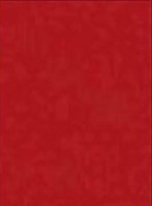 Spalvotas kartonas A1/160g bordo