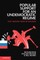 Popular Support for an Undemocratic Regime