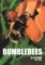 Bumble Bees