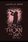 The Boy with the Thorn in His Side - Part Two