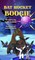 Bat Rocket Boogie
