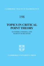 Topics in Critical Point Theory