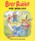 Brer Rabbit and the Brer Fox
