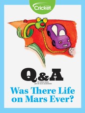 Was There Life on Mars Ever?