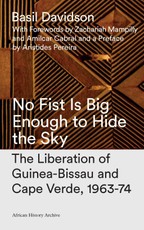 No Fist Is Big Enough to Hide the Sky
