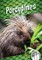 Porcupines