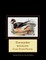 Goosander