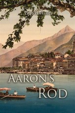 Aaron's Rod