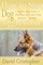 How to Stop Dog Aggression: A Step-By-Step Guide to Handling Aggressive Dog Behavior Problem