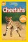Cheetahs