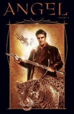 Angel: After The Fall Vol.5