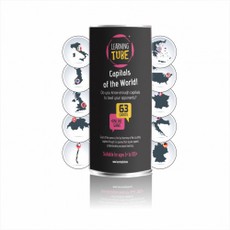 Mokomasis pasaulio sostinių žaidimas. Learning tube