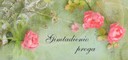 Dvigubas atvirukas su tekstu (gimtadienio proga)