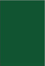 Spalvotas kartonas A1/160g tams.žalias