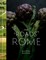 Wrisley, J: The Roads to Rome