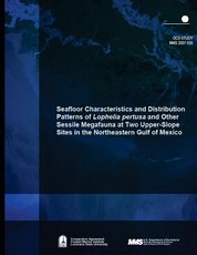 Seafloor Characteristics and Distribution Patterns of Lophelia pertusa and Other Sessile Megafauna at Two Upper-Slope Sites in the Northeastern Gulf of Mexico