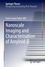 Nanoscale Imaging and Characterisation of Amyloid-ß