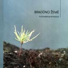 Bradūno žemė