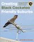 Creating Black Cockatoo Friendly Suburbs