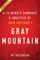 Summary of Gray Mountain