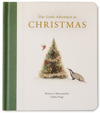 Our Little Adventure at Christmas