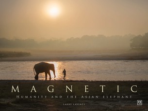 Magnetic
