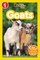 National Geographic Readers: Goats (Level 1)