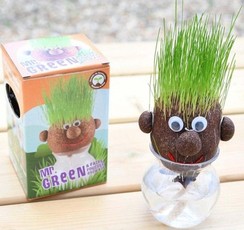 Daiginimo rinkinys RADIS et CAPUCINE Mr. Green „Oliziukas“