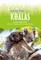 Save The... Koalas