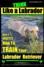 Think Like a Labrador, But Don't Eat Your Poop! - Labrador Breed Expert Dog Training -