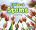 All about Stems