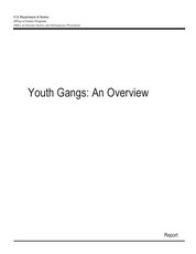 Youth Gangs