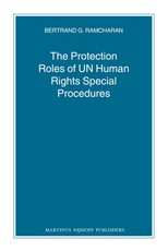 The Protection Roles of UN Human Rights Special Procedures