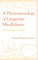 A Phenomenology of Langerian Mindfulness