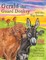 Gerald the Guard Donkey and the Big Storm