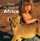Tippi