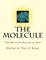 The Molecule