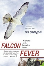 Falcon Fever