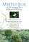 Mistletoe and the Emerging Future of Integrative Oncology