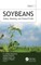 Soybean